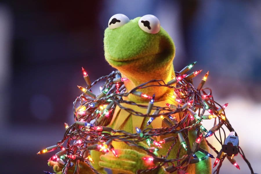The Muppets: Single All the Way